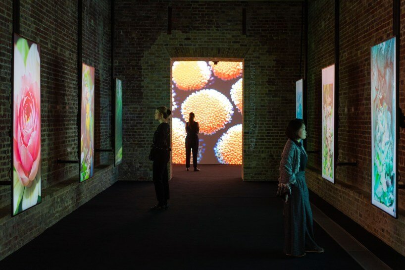 Refik Anadol: Doğanın Verileriyle Canlı Mimari Yaratmak