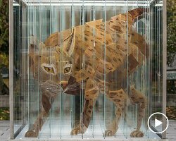 Thomas Medicus’un Algıyı Yeniden Tanımlayan Anamorfik Enstalasyonu