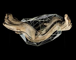 Thomas Medicus’un Algıyı Yeniden Tanımlayan Anamorfik Enstalasyonu