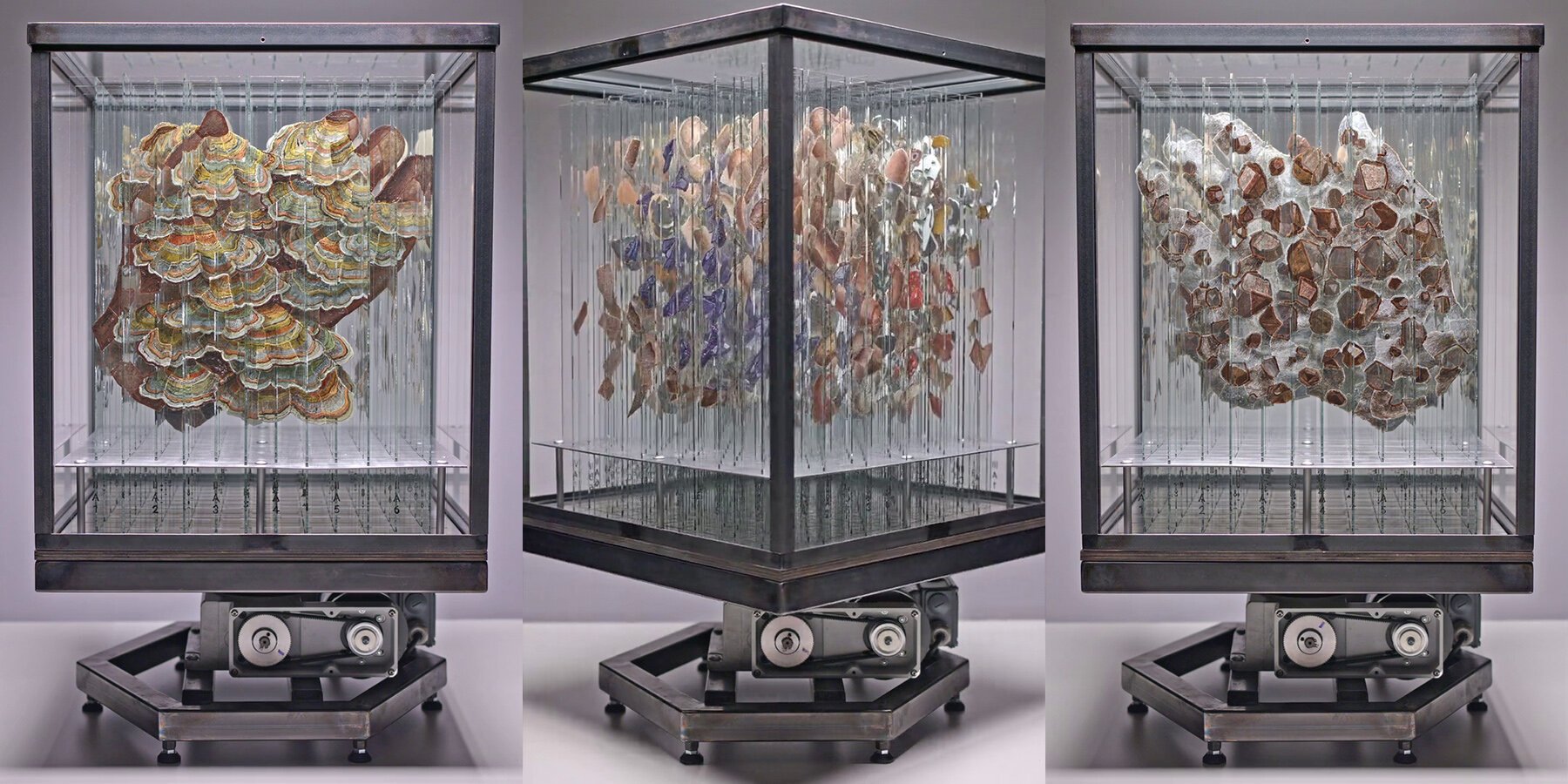 Thomas Medicus’un Algıyı Yeniden Tanımlayan Anamorfik Enstalasyonu