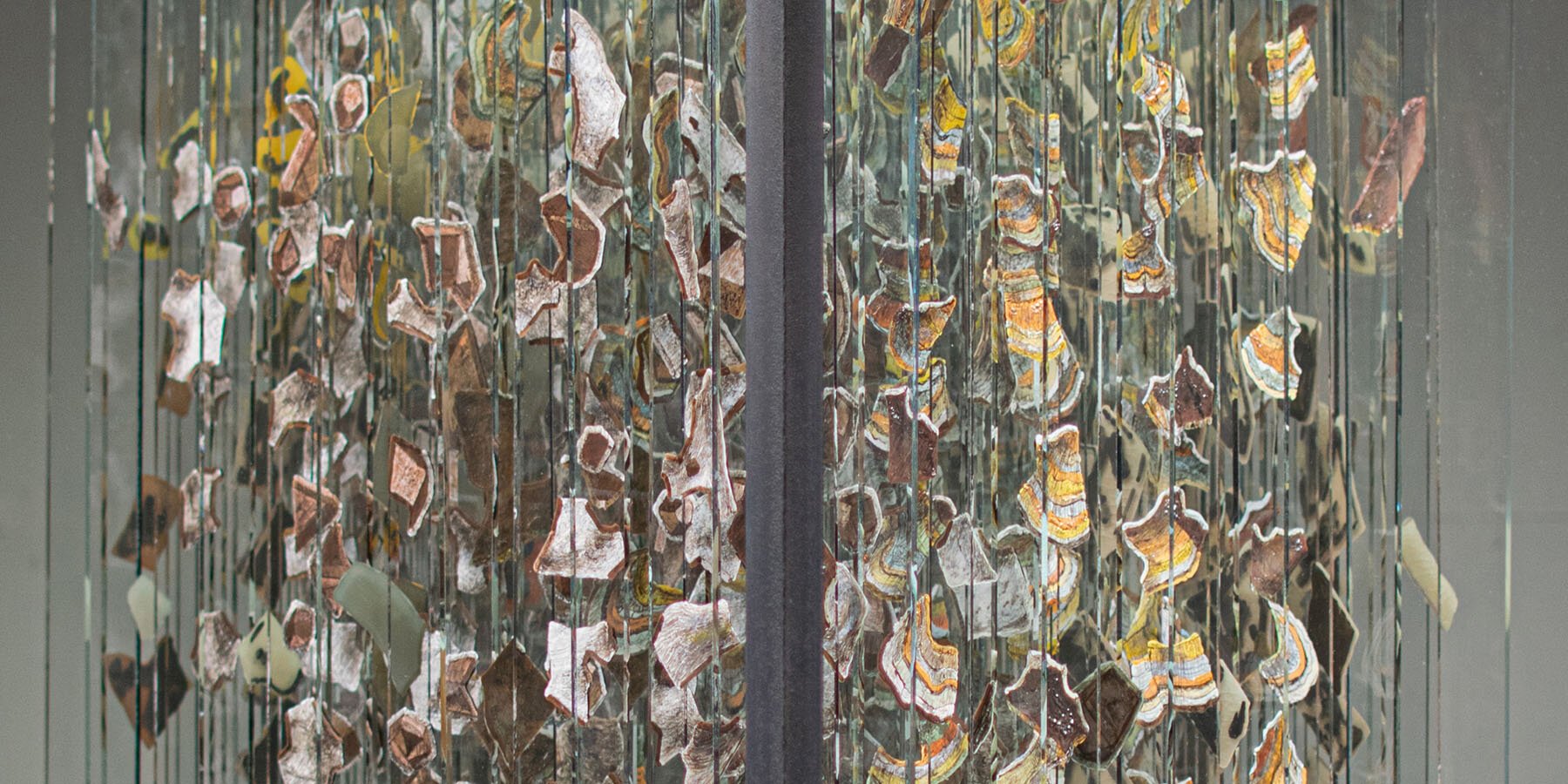 Thomas Medicus’un Algıyı Yeniden Tanımlayan Anamorfik Enstalasyonu