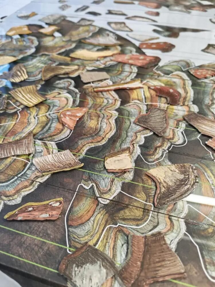 Thomas Medicus’un Algıyı Yeniden Tanımlayan Anamorfik Enstalasyonu