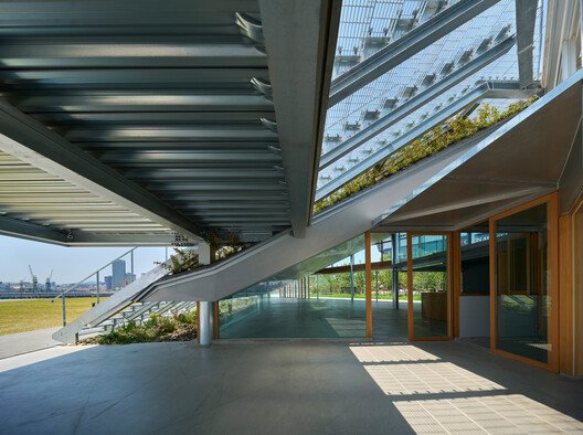 TOTTEI Yeşil Tepe: Kobe Limanı'nın Kalbinde Kentsel Dönüşüm