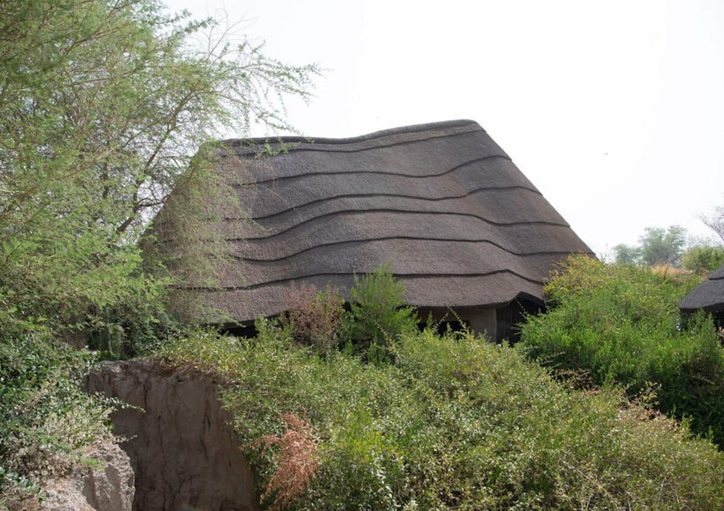 Urko Sánchez: Afrika Ruhu, BAE'de Hasır Çatılarla Yükseliyor