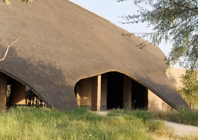 Urko Sánchez: Afrika Ruhu, BAE'de Hasır Çatılarla Yükseliyor