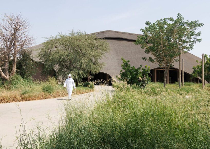 Urko Sánchez: Afrika Ruhu, BAE'de Hasır Çatılarla Yükseliyor