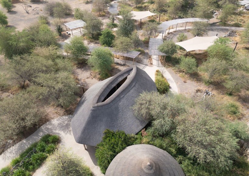 Urko Sánchez: Afrika Ruhu, BAE'de Hasır Çatılarla Yükseliyor