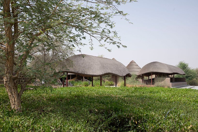 Urko Sánchez: Afrika Ruhu, BAE'de Hasır Çatılarla Yükseliyor