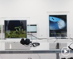 Yapay Zeka Sanatını Mekana Taşıyan Işıltılı Bir Deneyim