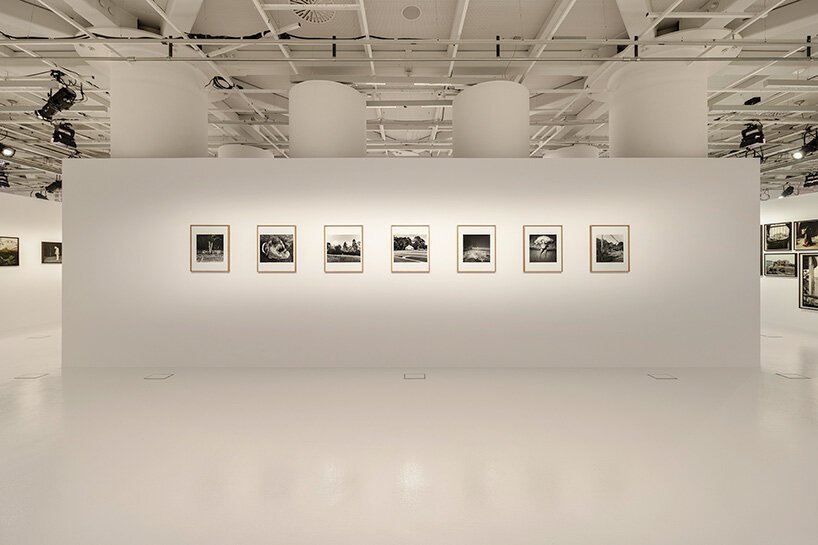 Lanthimos: Sinema Perdesinden Objektife, Sınır Tanımaz Özgürlük