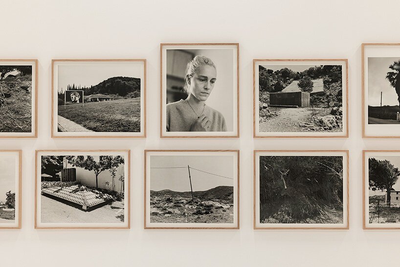 Lanthimos: Sinema Perdesinden Objektife, Sınır Tanımaz Özgürlük