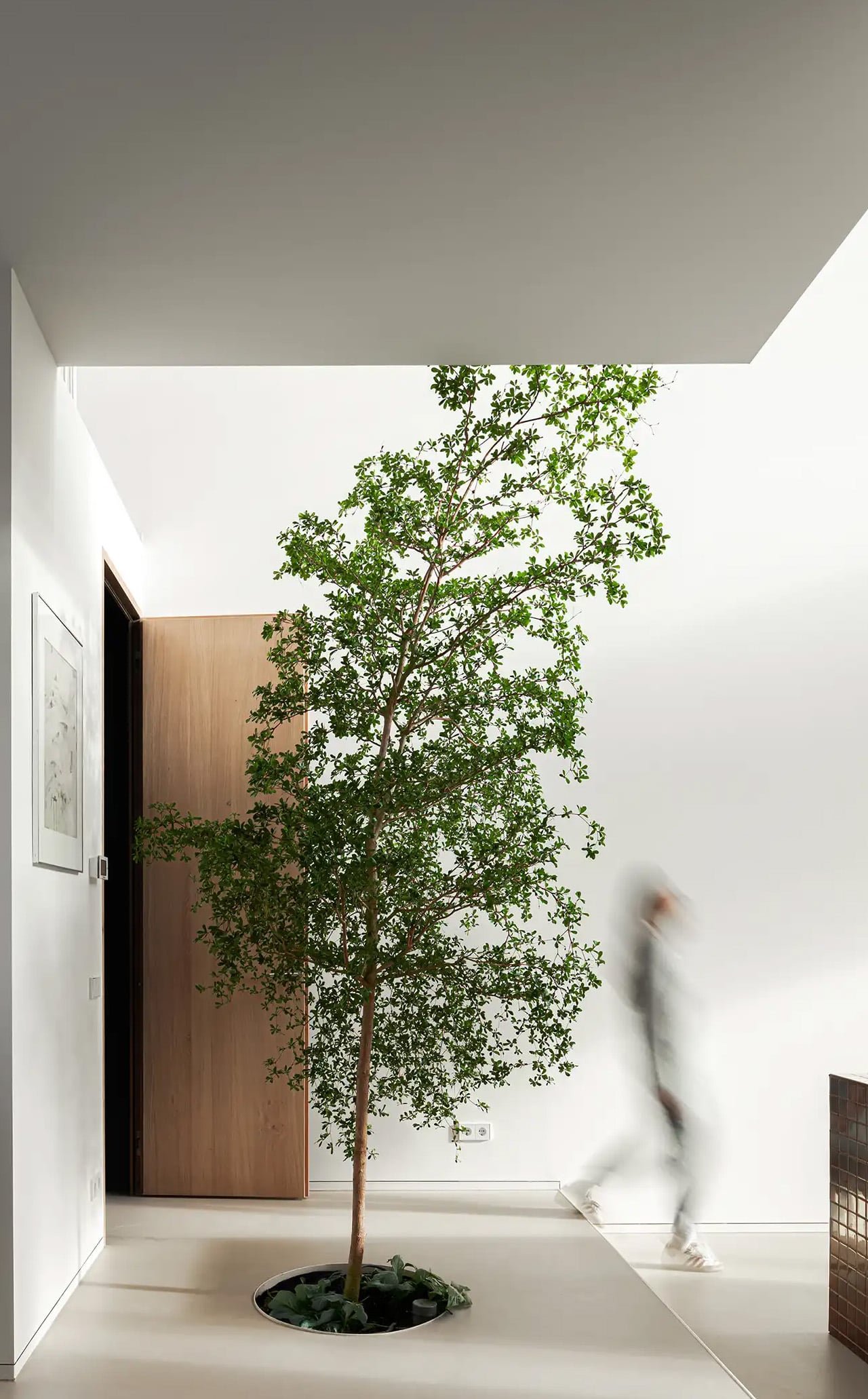 Studioninedots'tan 'Işık Evi': Amsterdam'ın Katmanlı Dikey Yaşamı