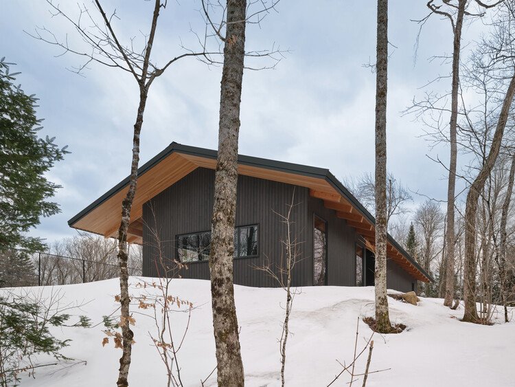 Cardwell Kulüp Evi: Şebekeden Bağımsız Yaşamın Aktif Mimarisi