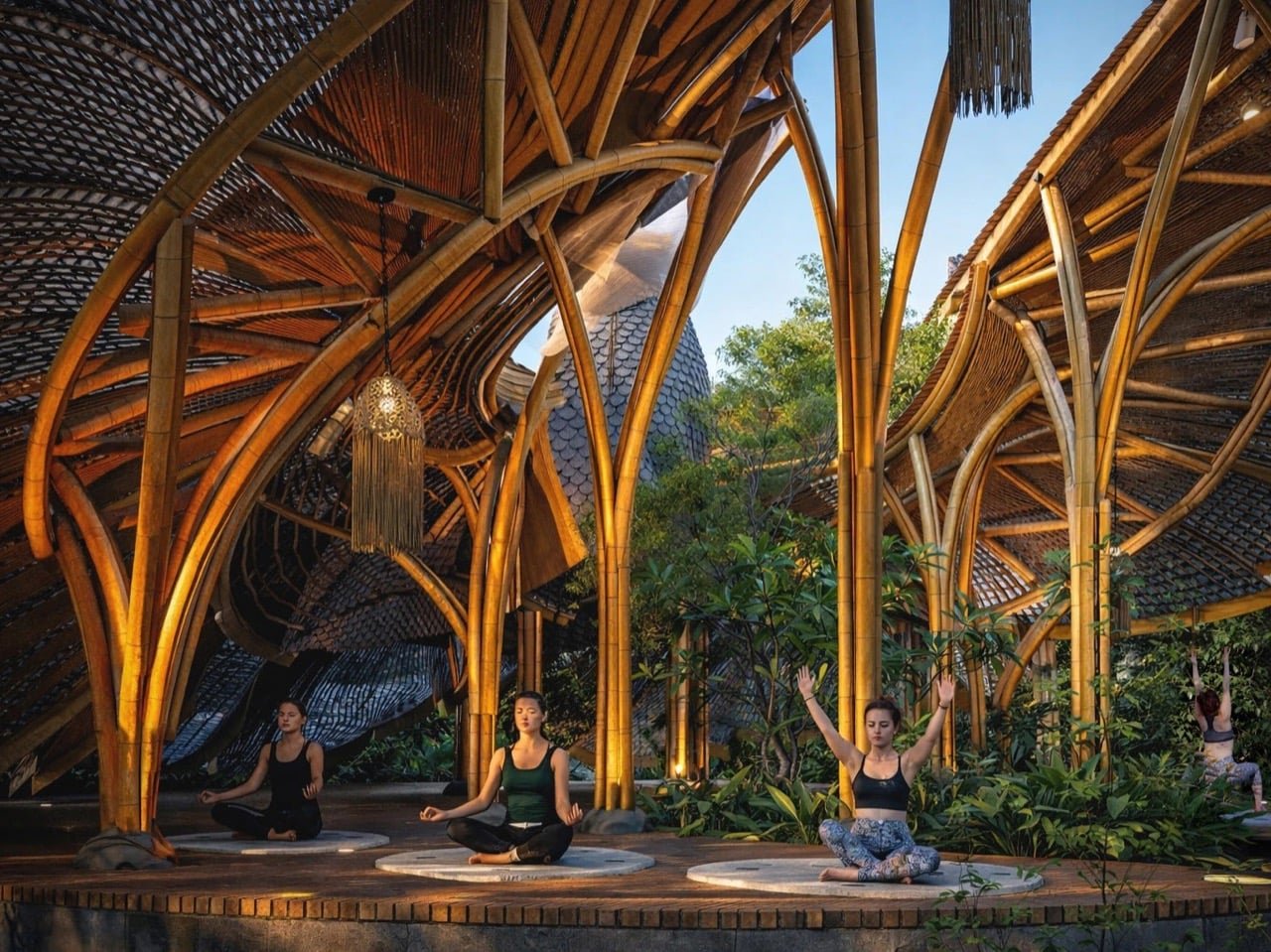 Cennet Kuşu Dansı Mimaride Canlandı: Bambu Yoga Alanı Yükseliyor