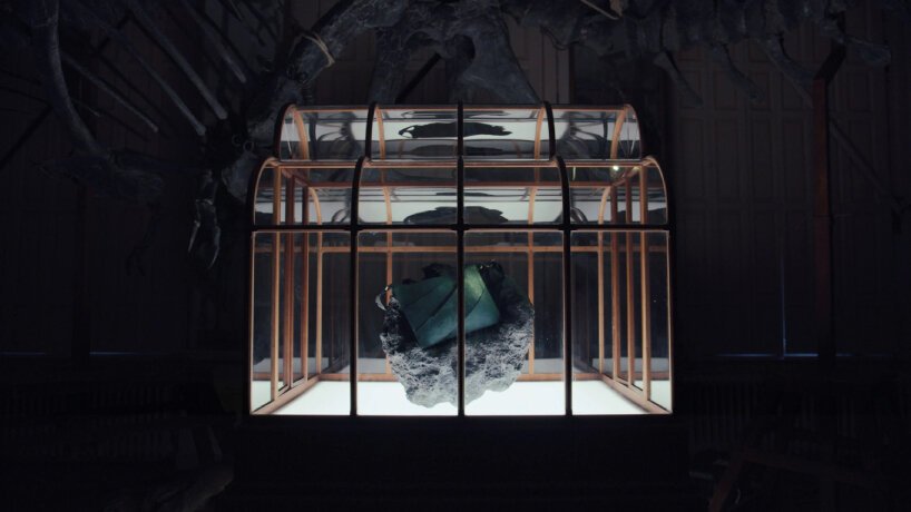 Dinozor DNA’sından Lüks Moda: Lab Ürünü T-Rex Deri Çanta