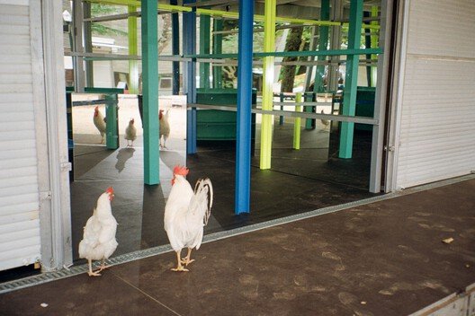 Sınırları Zorlayan Renkler: Fala'dan Bütçe Dostu Fuar Standı Devrimi