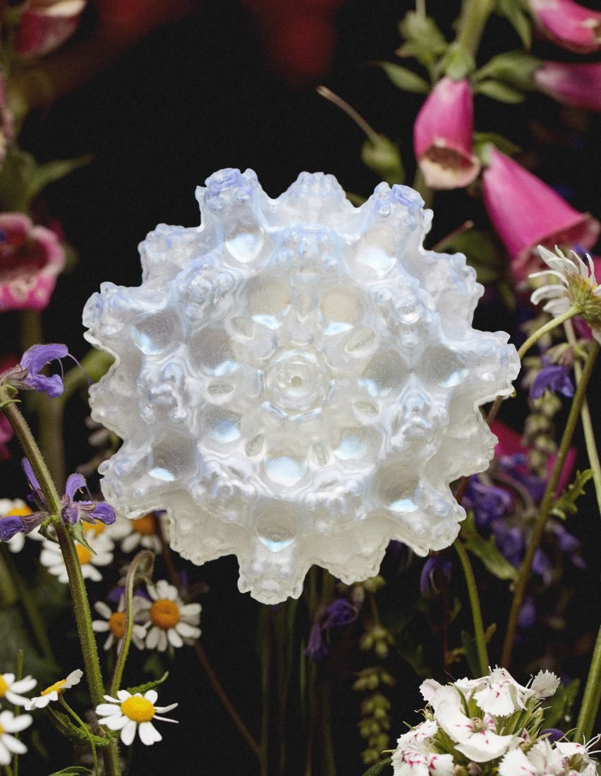 Faux Flora: Kirlilik Görünmez Çiçekleri Arılar İçin Aydınlatıyor