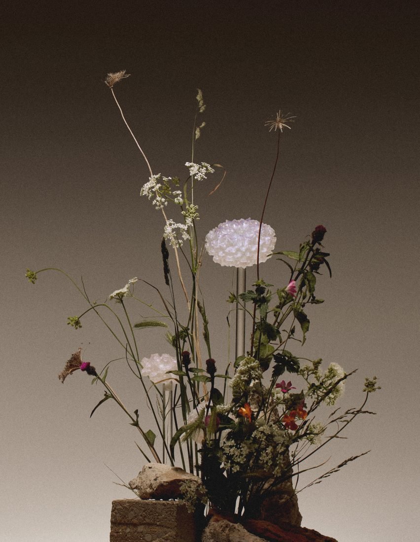 Faux Flora: Kirlilik Görünmez Çiçekleri Arılar İçin Aydınlatıyor