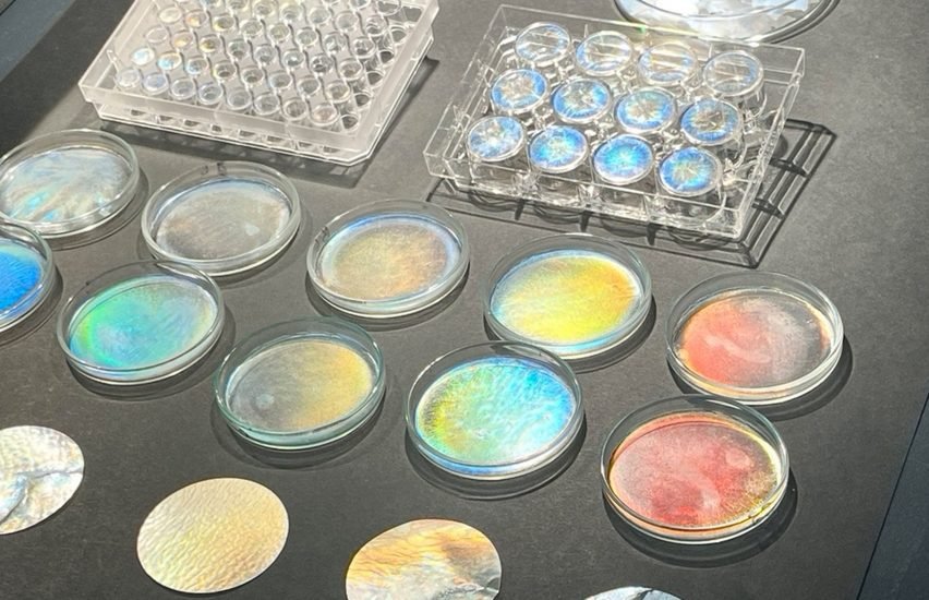 Faux Flora: Kirliliğin Çaldığı Çiçek Kokularını Arılara İade Eden Tasarım