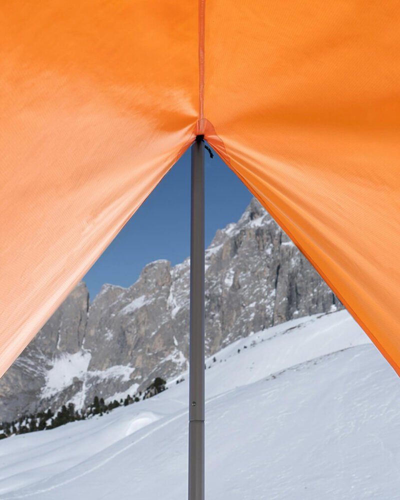 Pancalpina: Alp'lerin Gizli Kahramanı, Faccin'den Hayatta Kalma Bankı