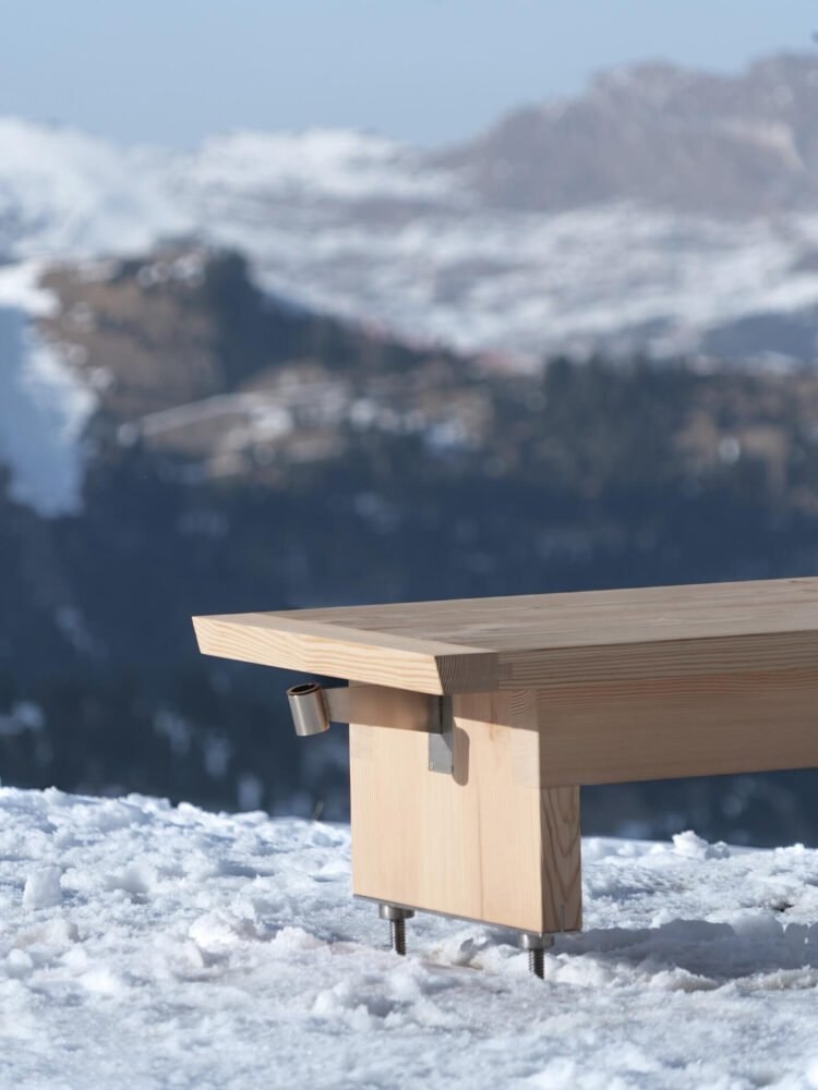 Pancalpina: Alp'lerin Gizli Kahramanı, Faccin'den Hayatta Kalma Bankı