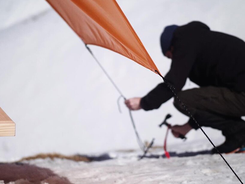 Pancalpina: Alp'lerin Gizli Kahramanı, Faccin'den Hayatta Kalma Bankı