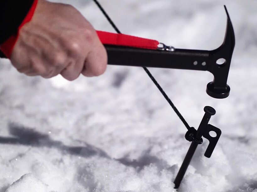 Pancalpina: Alp'lerin Gizli Kahramanı, Faccin'den Hayatta Kalma Bankı