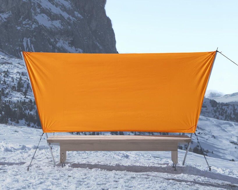 Pancalpina: Alp'lerin Gizli Kahramanı, Faccin'den Hayatta Kalma Bankı