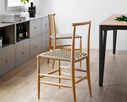 Pancalpina: Alp'lerin Gizli Kahramanı, Faccin'den Hayatta Kalma Bankı