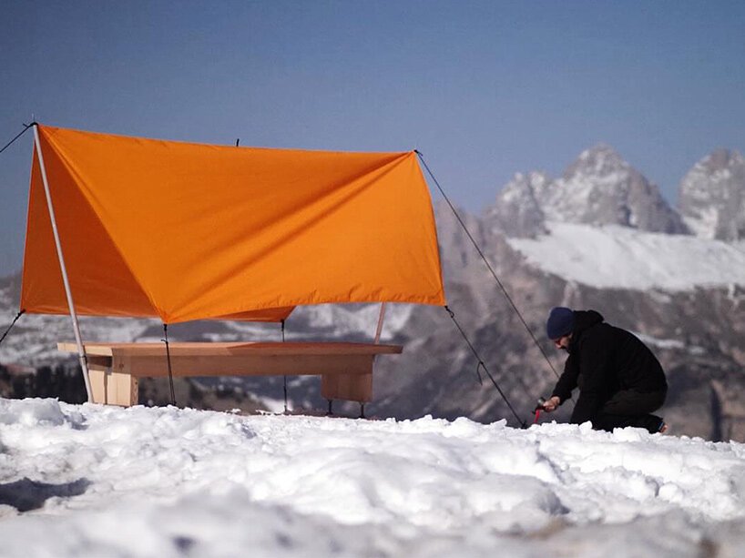 Pancalpina: Alp'lerin Gizli Kahramanı, Faccin'den Hayatta Kalma Bankı