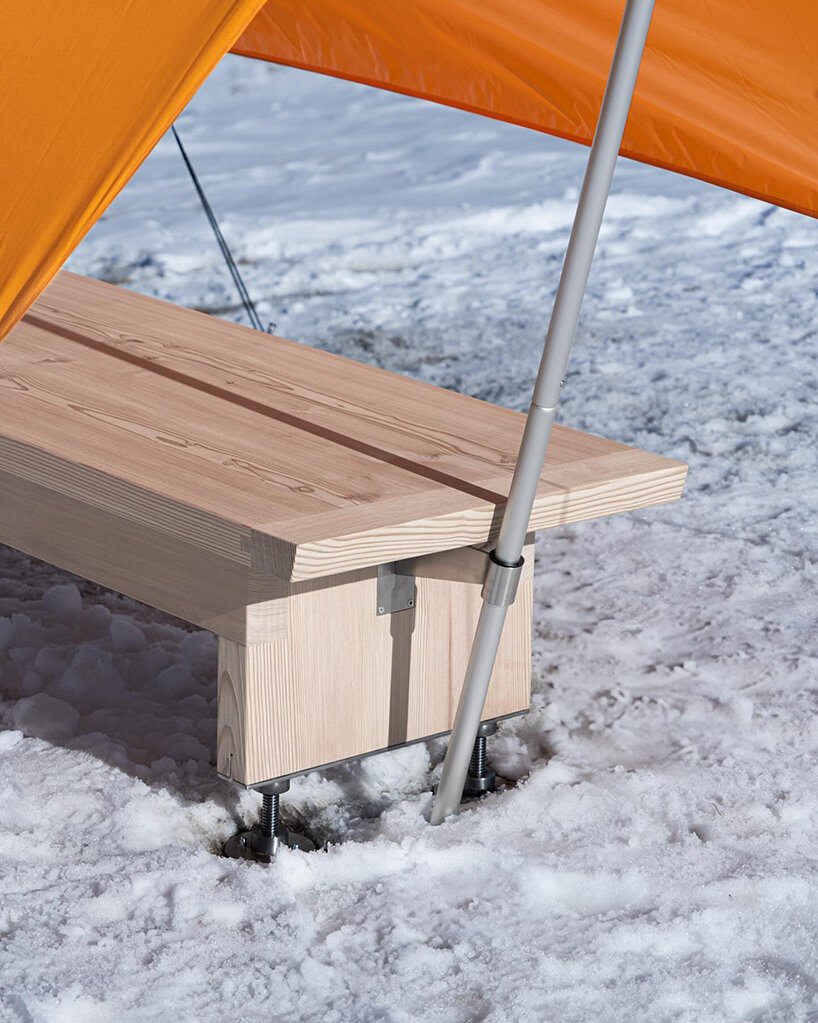 Pancalpina: Alp'lerin Gizli Kahramanı, Faccin'den Hayatta Kalma Bankı