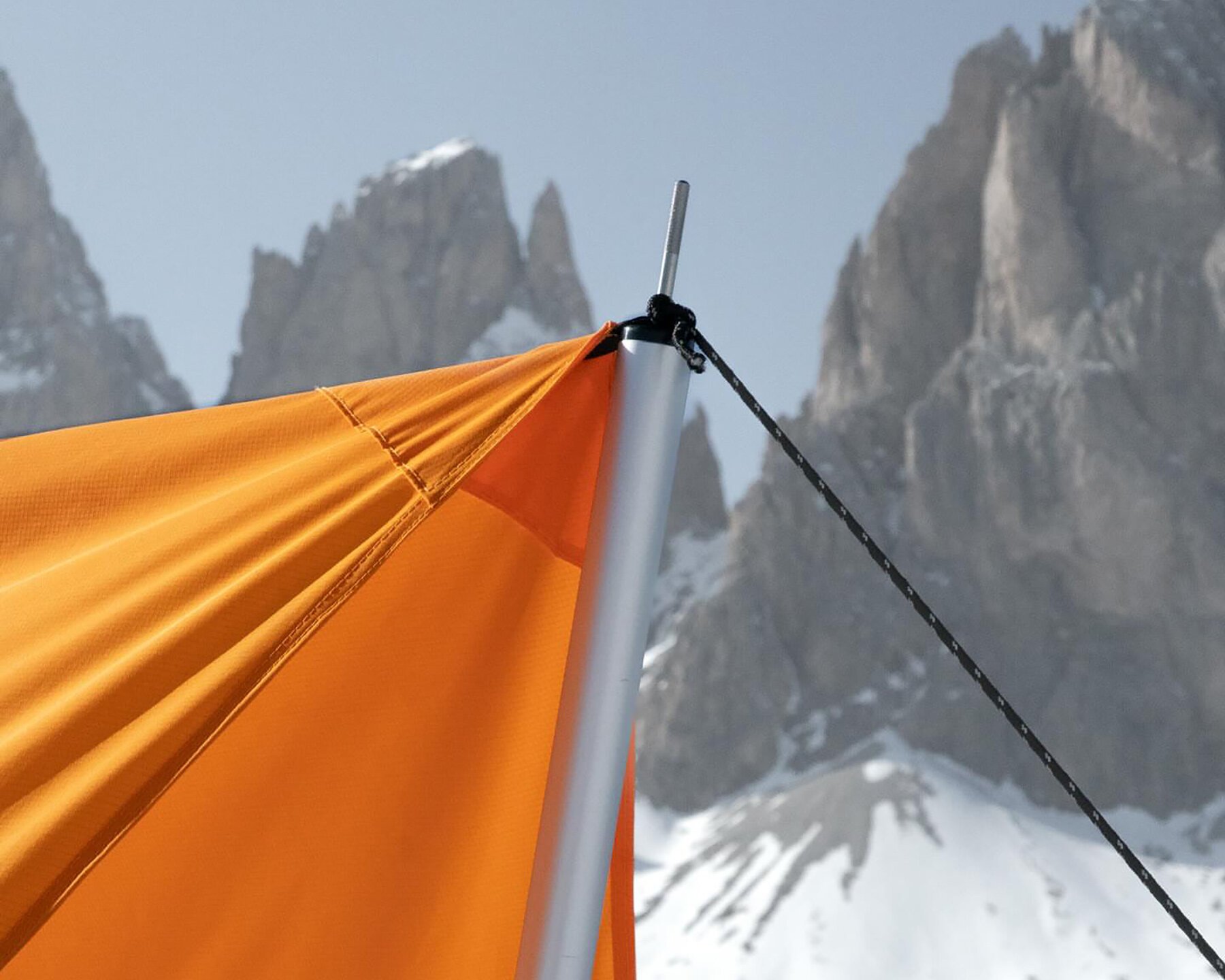 Pancalpina: Alp'lerin Gizli Kahramanı, Faccin'den Hayatta Kalma Bankı