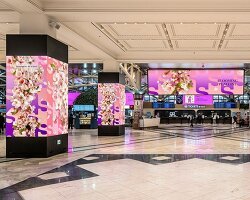 Hoengseong'da Sakin Yaşam: Ahşap Kütlelerin Doğayla Dansı