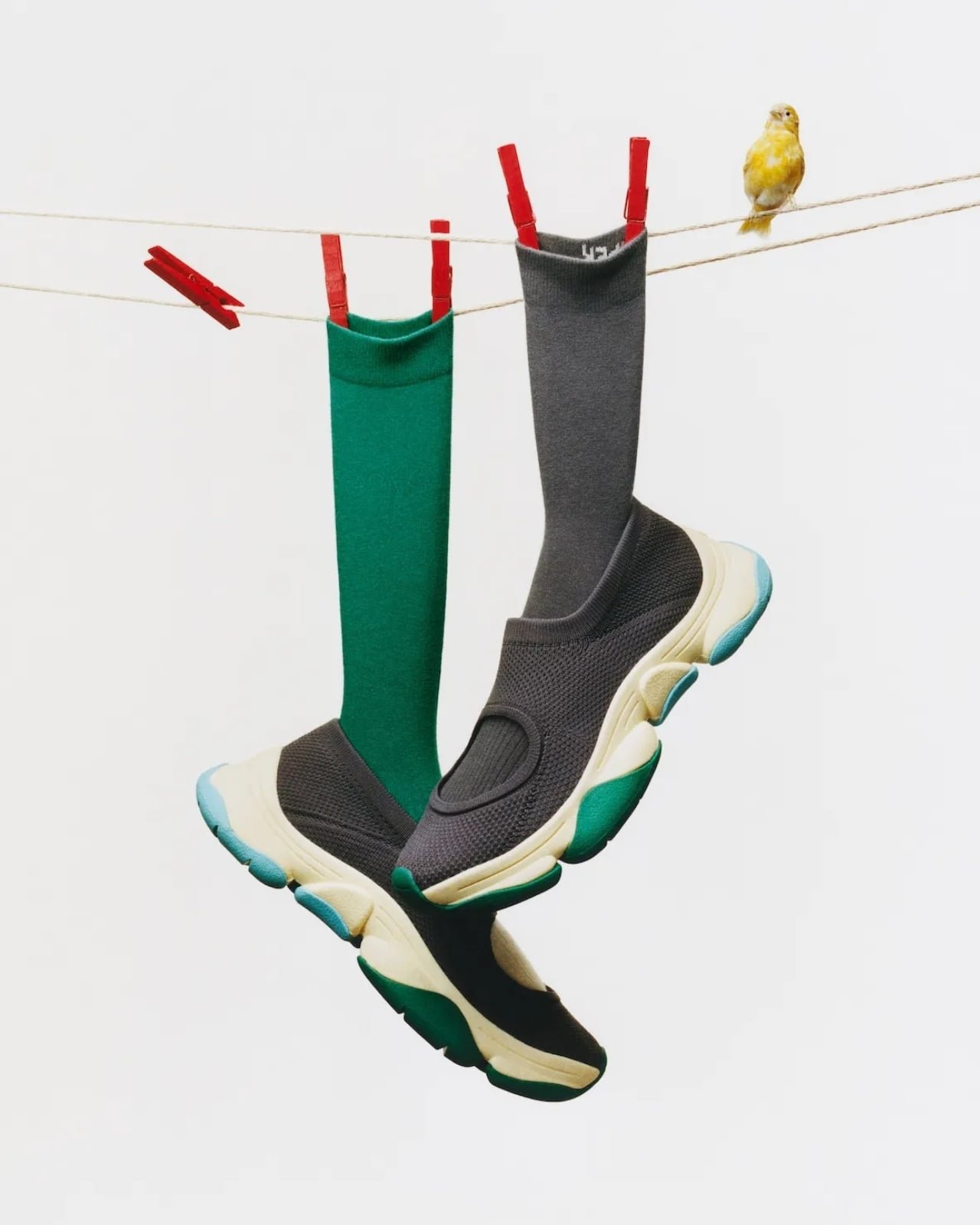 Karst Finch: Kuşların Fısıltısıyla Doğan Sneaker Estetiği