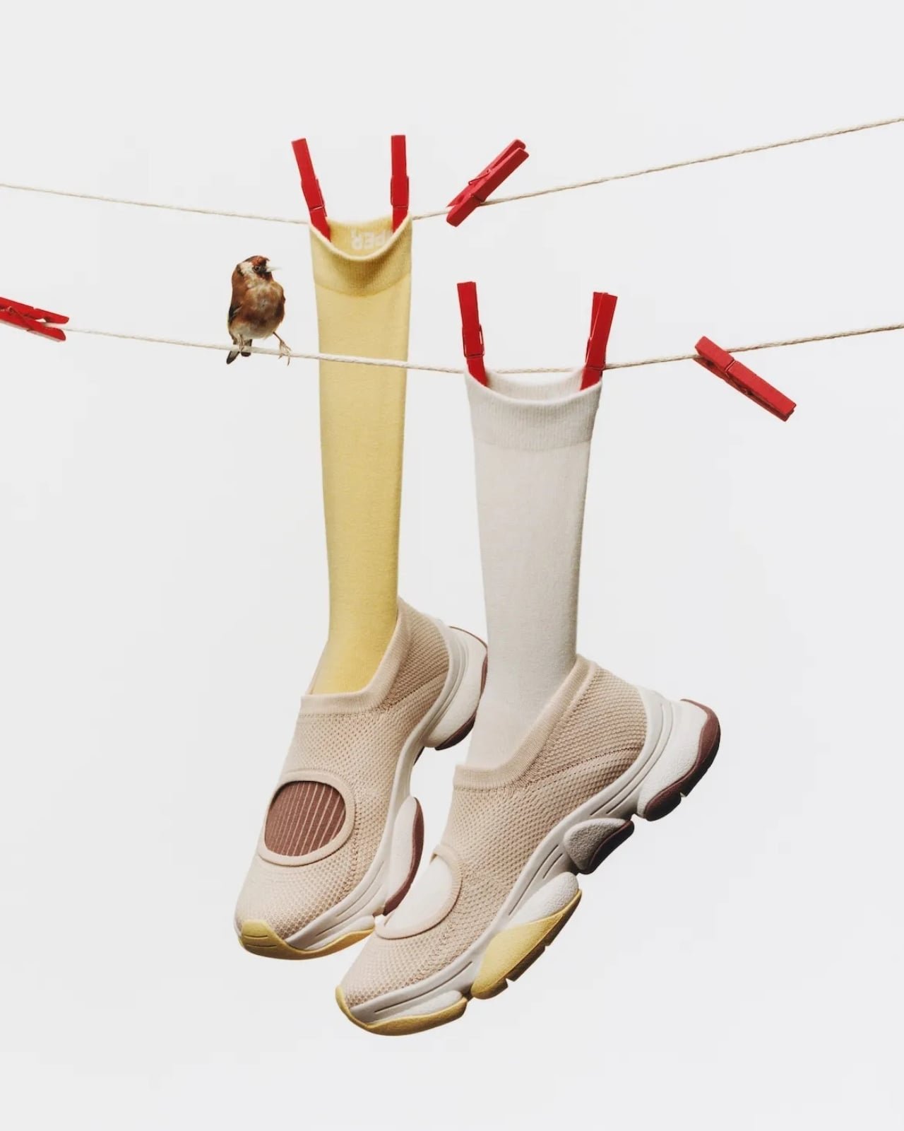 Karst Finch: Kuşların Fısıltısıyla Doğan Sneaker Estetiği