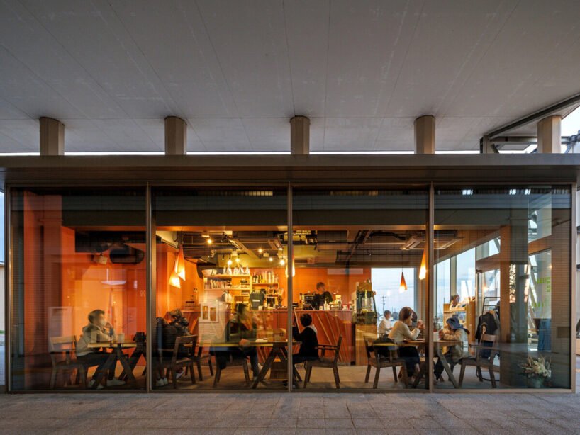 Kuma'nın Dansı: Ahşapla Ruh Bulan Chikujō Kütüphanesi