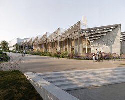 Kuma'nın Dansı: Ahşapla Ruh Bulan Chikujō Kütüphanesi