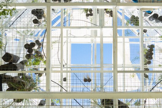 Cosquín Rock 2026: La Vuelta Al Monte ile Doğa Sahnede