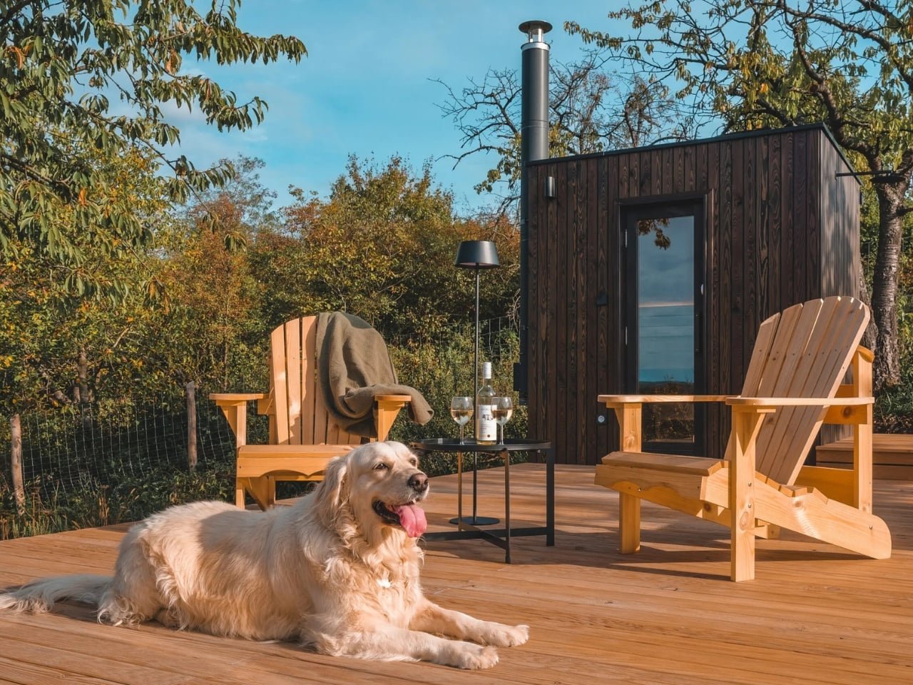 NestOff: Macaristan'da Mikro Kabinle Konaklamaya Yeni Bakış