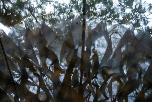 Dhaka'ya Nefes Veren 'Hafifliğin Dansı': Mimarlıkta Çığır Açan Pavyon