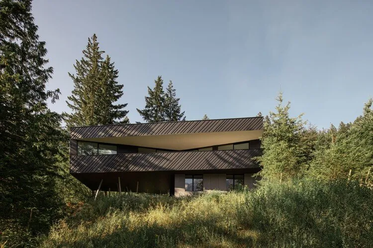 Stark’ın Pasif Ev Orman Evi: Doğa Tasarımının Yeni Rotası