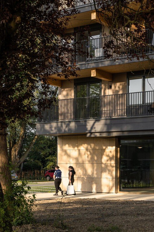 Rotterdam'ın Suya Direnen Mimarisi: İki Cesur Yaklaşım