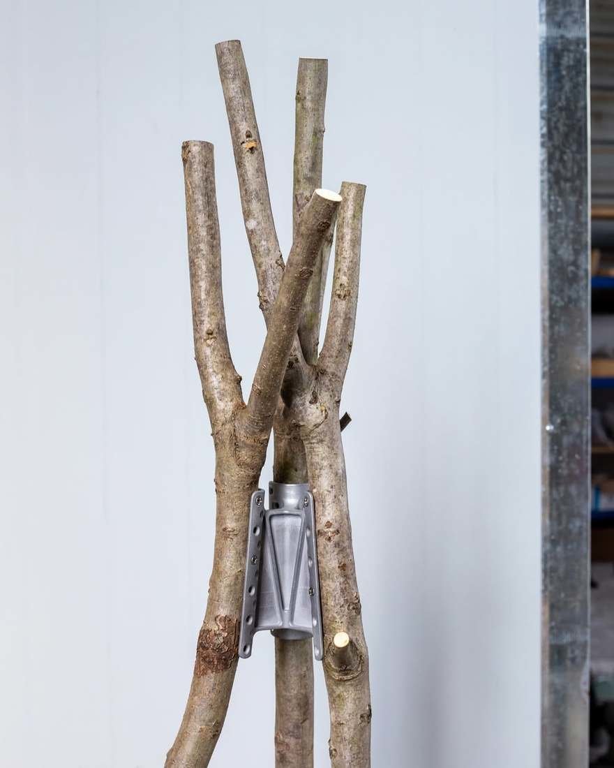 Silvio Rebholz ve Norm Brackets: 'İstenmeyen' Ahşabın Yeni Hikayesi