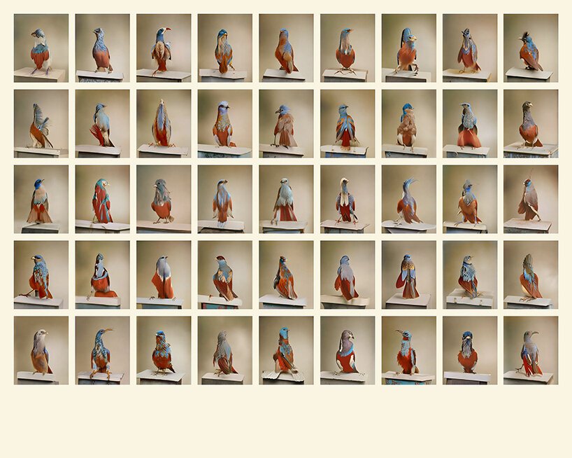 Weronika Gęsicka: Bilginin Sınırlarını Zorlayan Bir Sanatçı