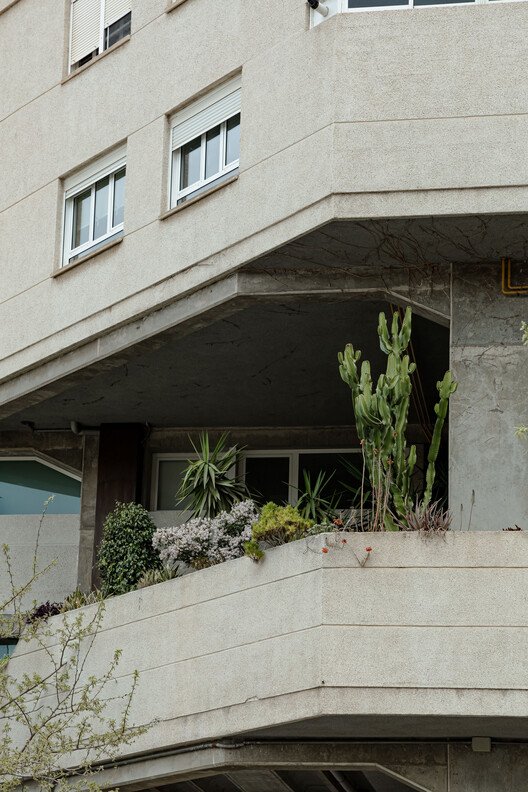 Espai Verd: Valensiya'da Beton ve Yeşilin Büyüleyici Dansı