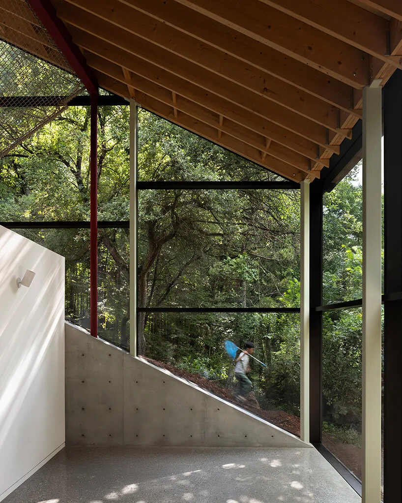 Eğimle Dans Eden Ev: Belfountain House'ta Doğayla İşbirliği