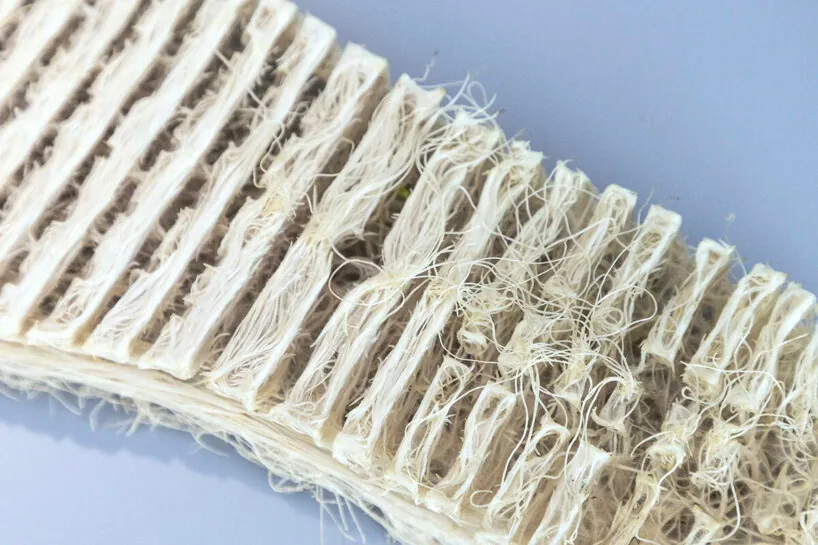 Köklerden Işığa: Rootfull ile Biyo-Tekstil Tasarımı