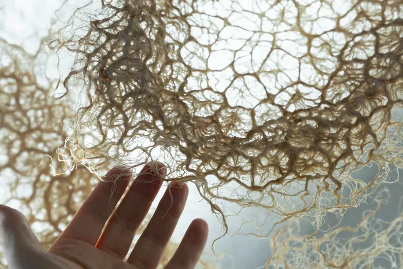 Köklerden Dokunan Gelecek: Rootfull ile Biyo-Tekstil Tasarımı