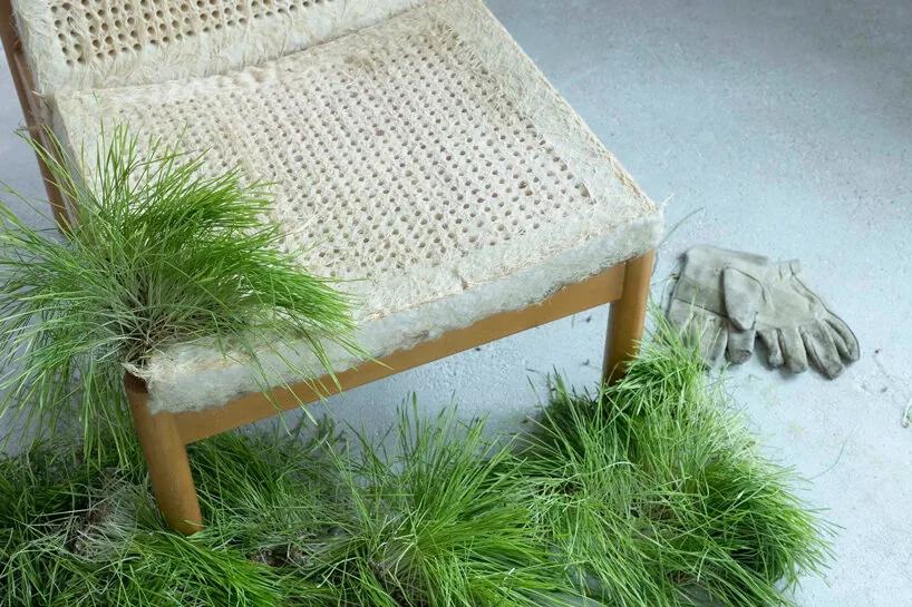 Köklerden Işığa: Rootfull ile Biyo-Tekstil Tasarımı