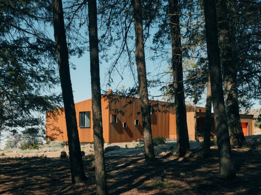 Küllerinden Doğan Ev: Faulkner Architects'ten Yangına Dirençli Pine Flat
